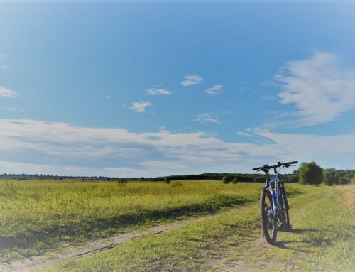 Facciamo un giro in bici?